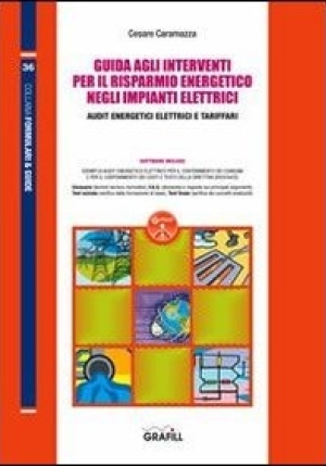 Guida Agli Interventi Per Il Risparmio Energetico Negli Impianti Elettri fronte