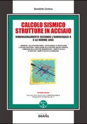 Calcolo Sismico Strutture In Acciaio fronte