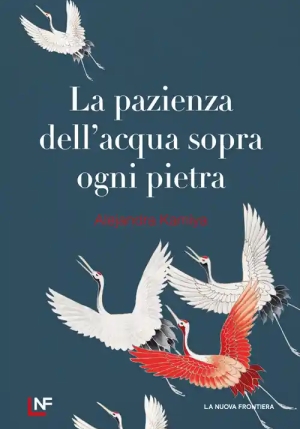 Pazienza Dell'acqua Sopra Ogni Pietra (la) fronte