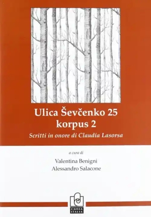 Ulica Shevchenko 25 Korpus 2 fronte