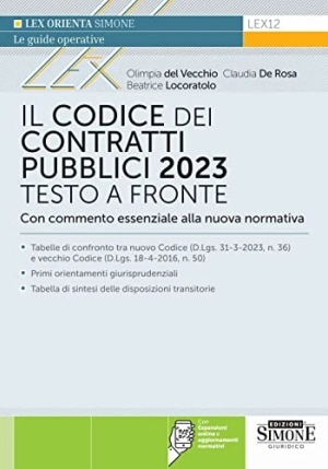 Codice Contratti Pubblici 2023 fronte