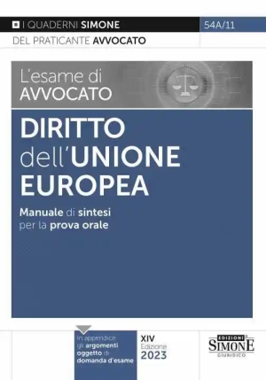 Esame Avvocato Diritto Unione Europea fronte