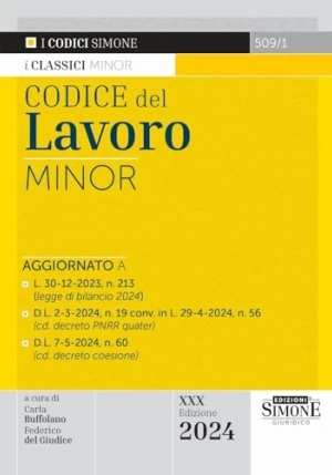 Codice Del Lavoro Minor 30ed.2024 fronte