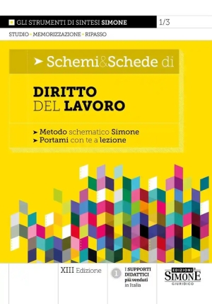 Schemi & Schede Diritto Del Lavoro 13ed. fronte