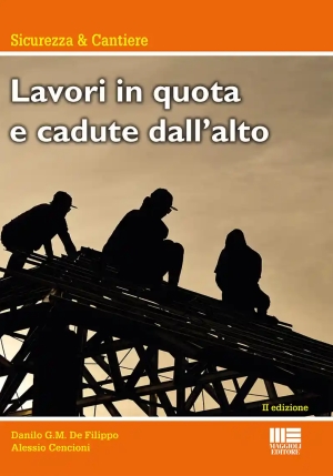 Lavori In Quota E Cadute Dall'alto fronte