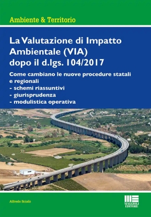 Valutazione Impatto Ambientale 104-2017 fronte