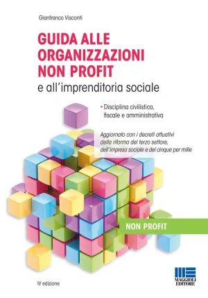 Guida Organizzaz.non Profit 4ed. fronte