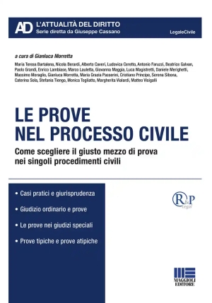 Prove Nel Processo Civile fronte