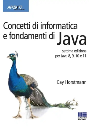 Concetti Di Informatica E Fondamenti Di Java fronte