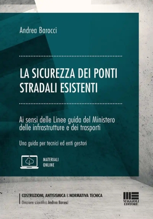 Sicurezza Ponti Stradali Esistenti fronte