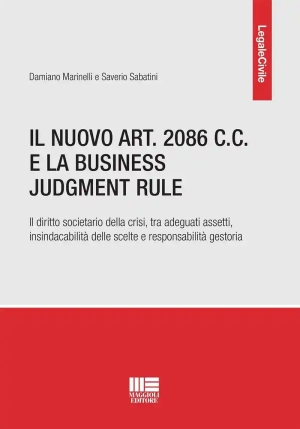 Nuovo Art.2086 Business Judgment Rule fronte