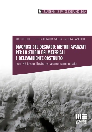 Diagnosi Del Degrado Metodi Avanz.studio fronte