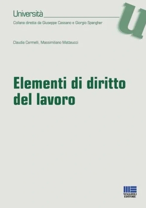 Elementi Diritto Del Lavoro fronte