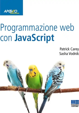 Programmazione Web Con Javascript fronte