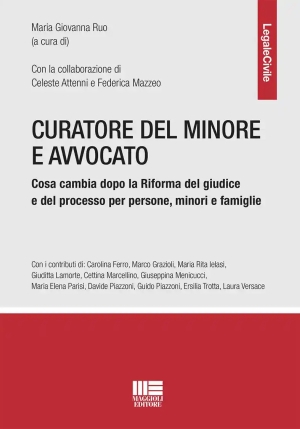 Curatore Del Minore Dopo Rif.cartabia fronte