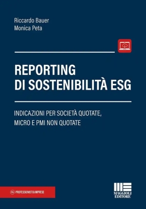 Reporting Sostenibilita' Esg fronte