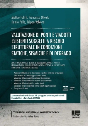 Valutazione Dei Rischi Di Ponti E Viadotti Ai Sensi Delle Linee Guida De fronte