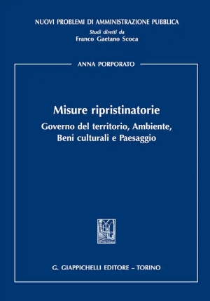 Misure Ripristinatorie fronte