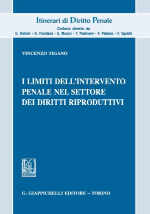 Limiti Intervento Penale fronte