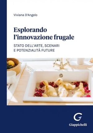 Esplorando Innovazione Frugale fronte