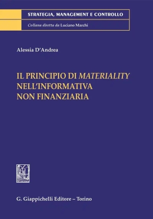 Principiio Di Materiality fronte