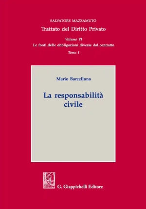 Responsabilit? Civile fronte