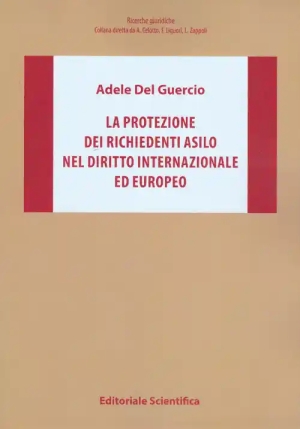 Protezione Richiedenti Asilo Dir.int.le fronte