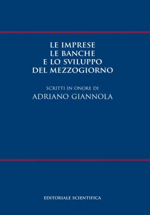 Imprese Banche Sviluppo Del Mezzogiorno fronte