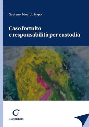 Caso Fortuito E Responsabilita' Custodia fronte