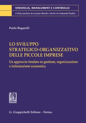 Sviluppo Strategico Organizzativo fronte