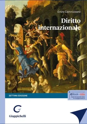Diritto Internazionale 7ed fronte