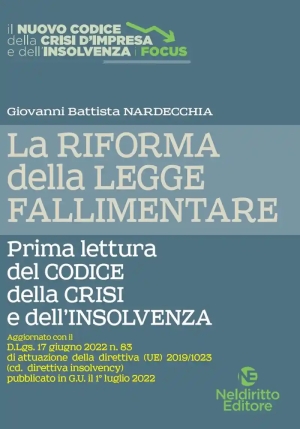 Codice Della Crisi E Dell'ins. fronte