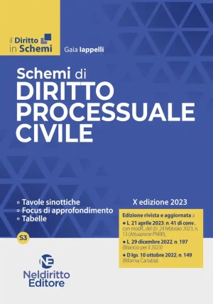 Schemi Diritto Processuale Civile 2023 fronte