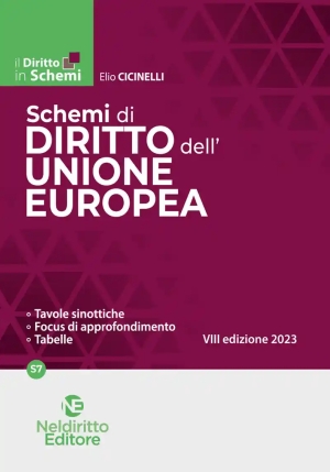 Schemi Diritto Unione Europea fronte