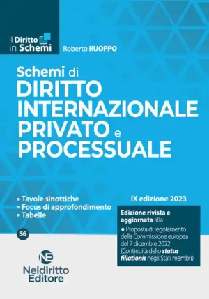 Schemi Diritto Int.le Privato Proc.2023 fronte