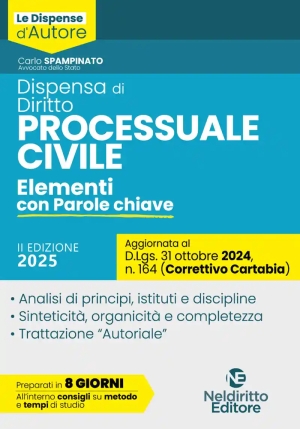 Dispensa Diritto Process.civile 2ed.2025 fronte