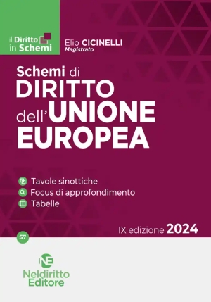 Schemi Diritto Unione Europea 2024 9ed. fronte