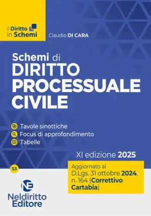 Schemi Diritto Processuale Civile 2024 fronte