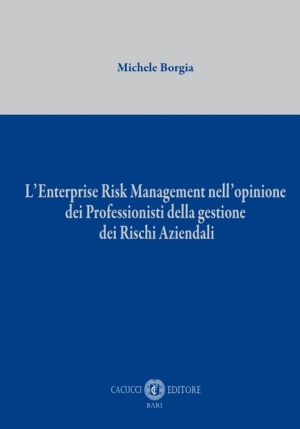 Enterprice Risk Managment fronte