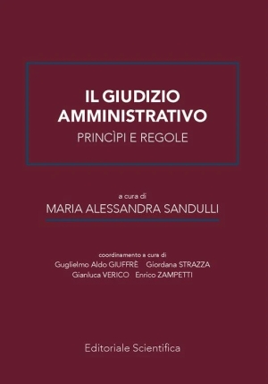 Giudizio Amministrativo fronte