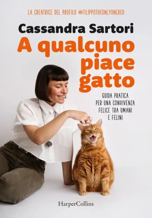 Che Vita Da Gatti fronte