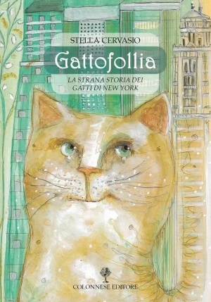 Gattofollia fronte