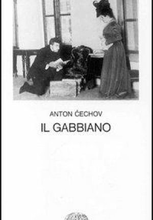 Gabbiano (il) fronte