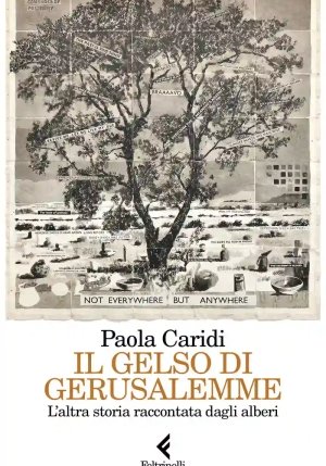 Alberi Di Gerusalemme (gli) fronte