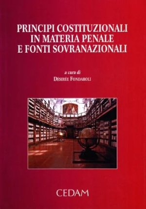 Principi Costituzionali fronte