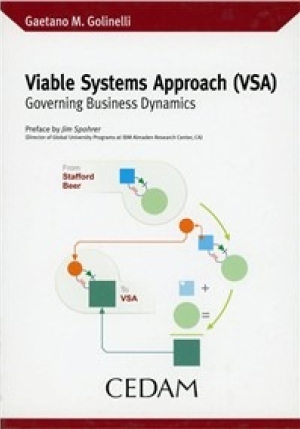 Viable Systems  Approach fronte