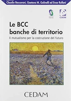 Bcc Banche Di Territorio fronte