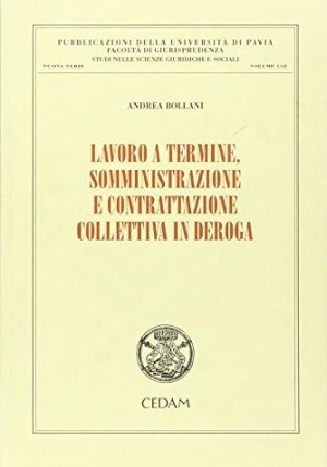 Lavoro A Termine, Somministraz fronte