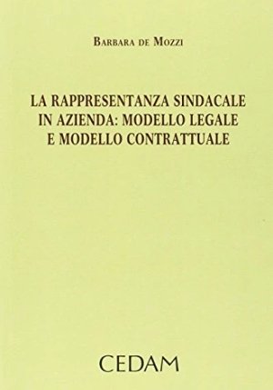 Rappresentanza Sindacale In Azienda fronte