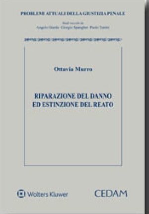 Riparazione Del Danno fronte